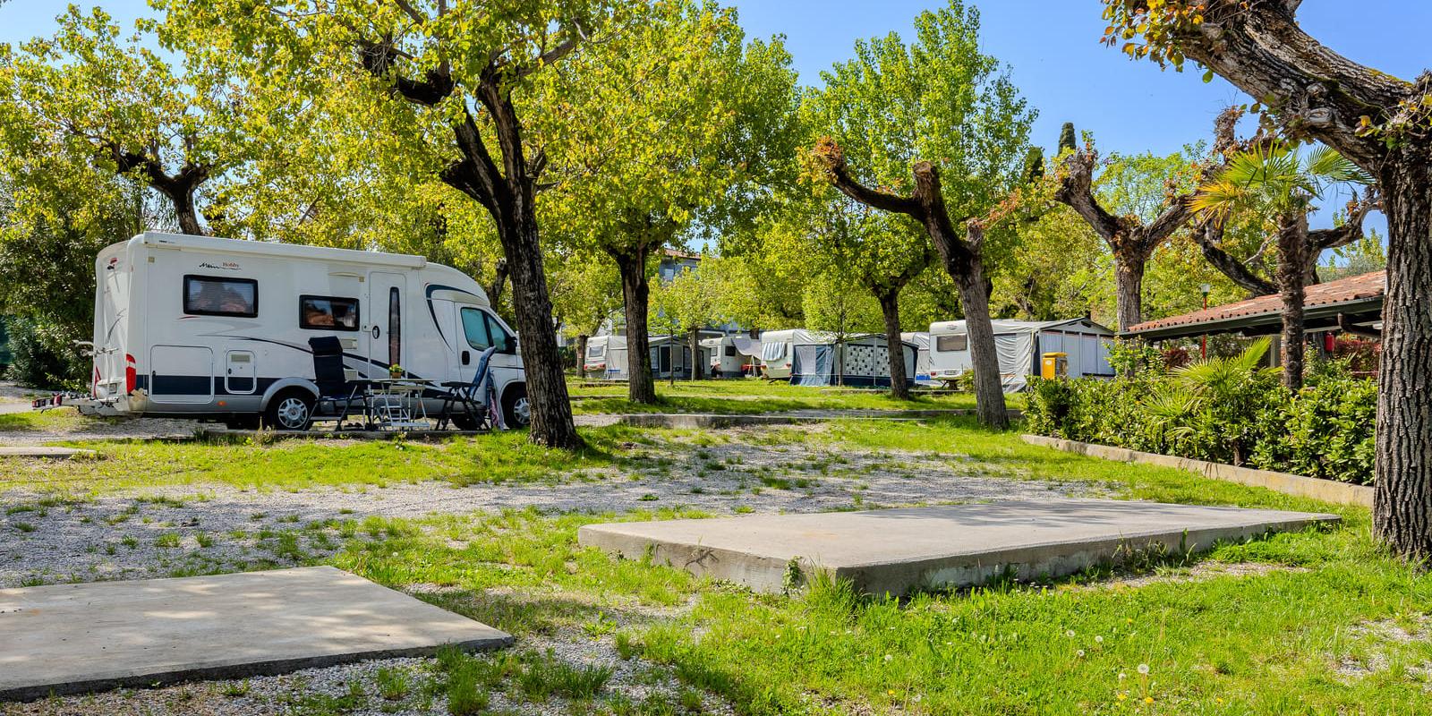 Wohnmobil in einem schattigen Rastplatz mit Bäumen geparkt.