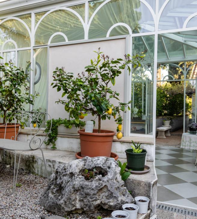 Garden with lemon plants and glass veranda.